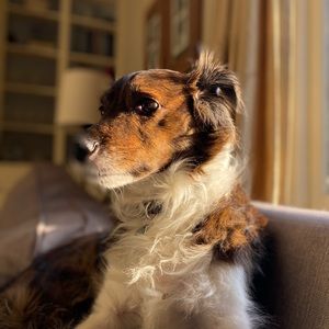 Meet your Posher, Eloedie